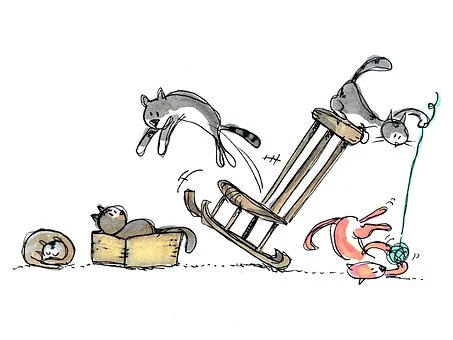 chats jouants