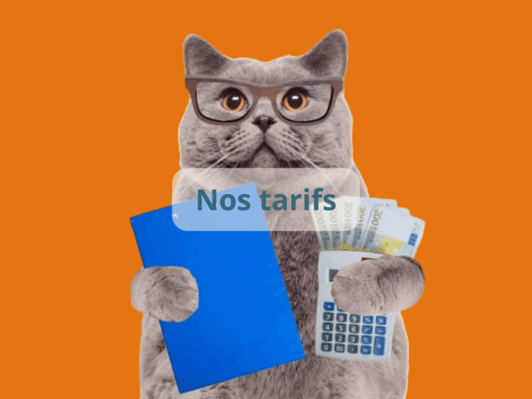 pension-chats-nos-tarifs-pension-feline-du-seignanx
