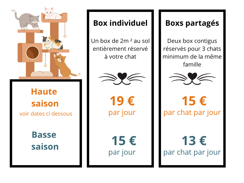 Tarifs Pension Féline du Seignanx - Juillet 2025