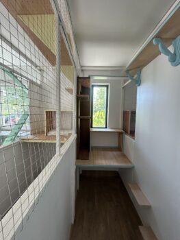 img 0035