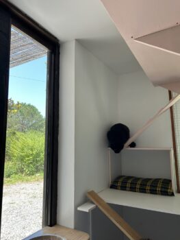 img 0223