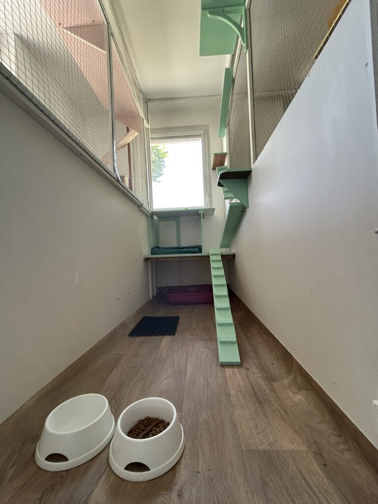 img 0270
