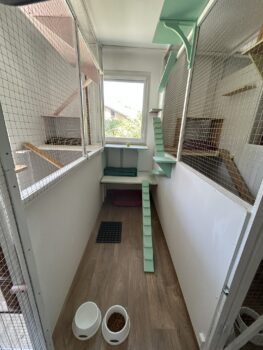 img 0273