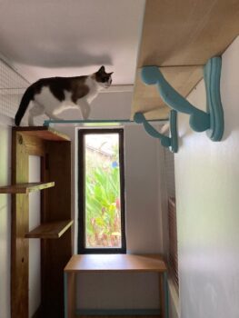 piloujump1